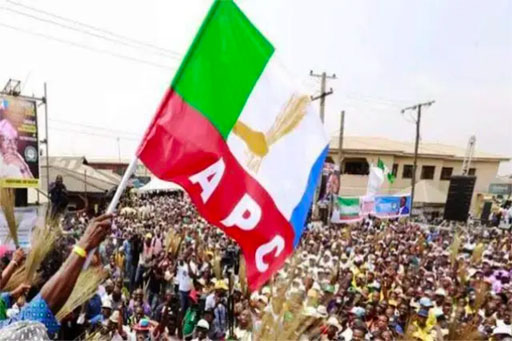 Issues Raised in Adamawa APC Governorship Primary