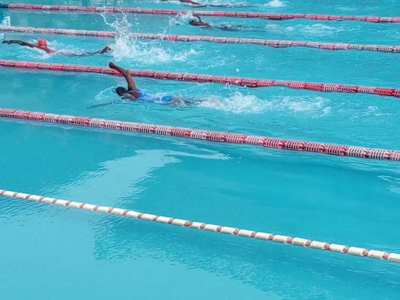 Grange and St Saviour’s Keep Dolphin Swimming League Titles
