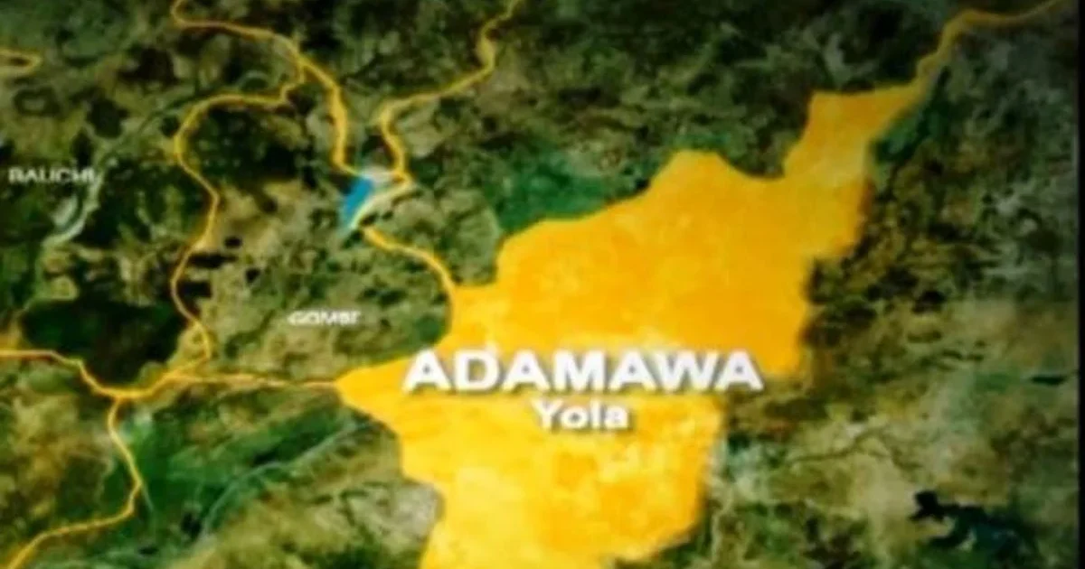 APC responds to Labour Party candidate's claims of primary issues