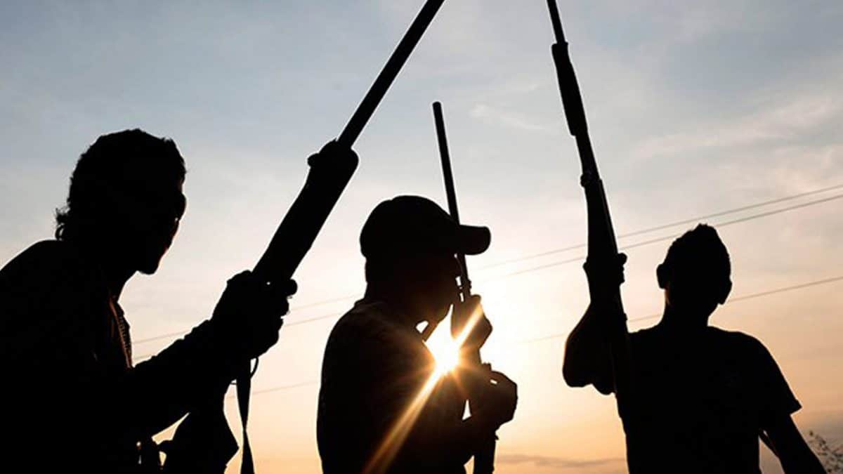 Gunmen attack Imo community, kill five including security agents