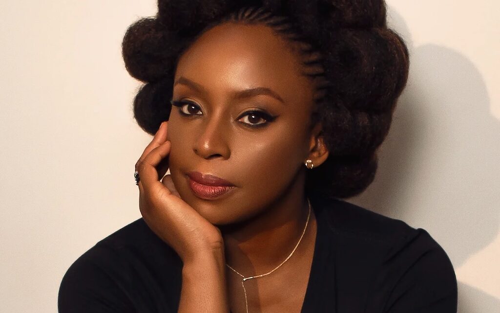 Court pauses inquest into Chimamanda Adichie's son's death