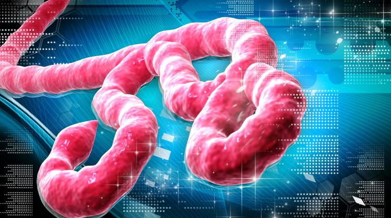 Anambra, Ebonyi, Enugu Respond to Ebola Threat