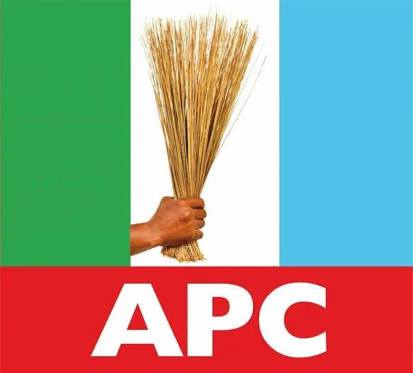 2027: Women group calls for peace in Adamawa APC senatorial race