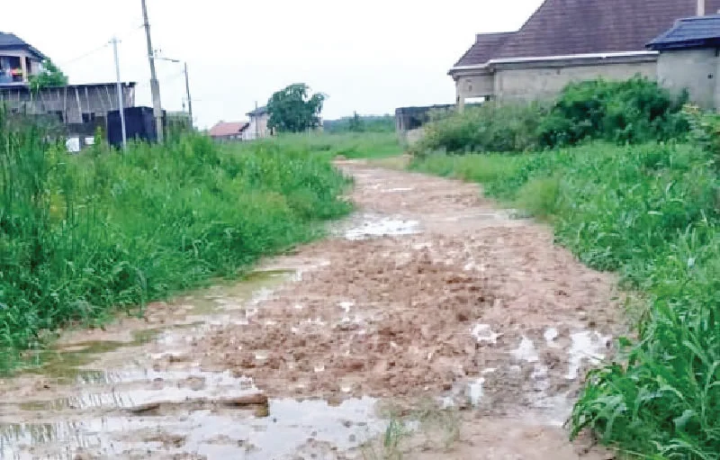 Abule Oko Residents Complain About Bad Market Road, Want Help