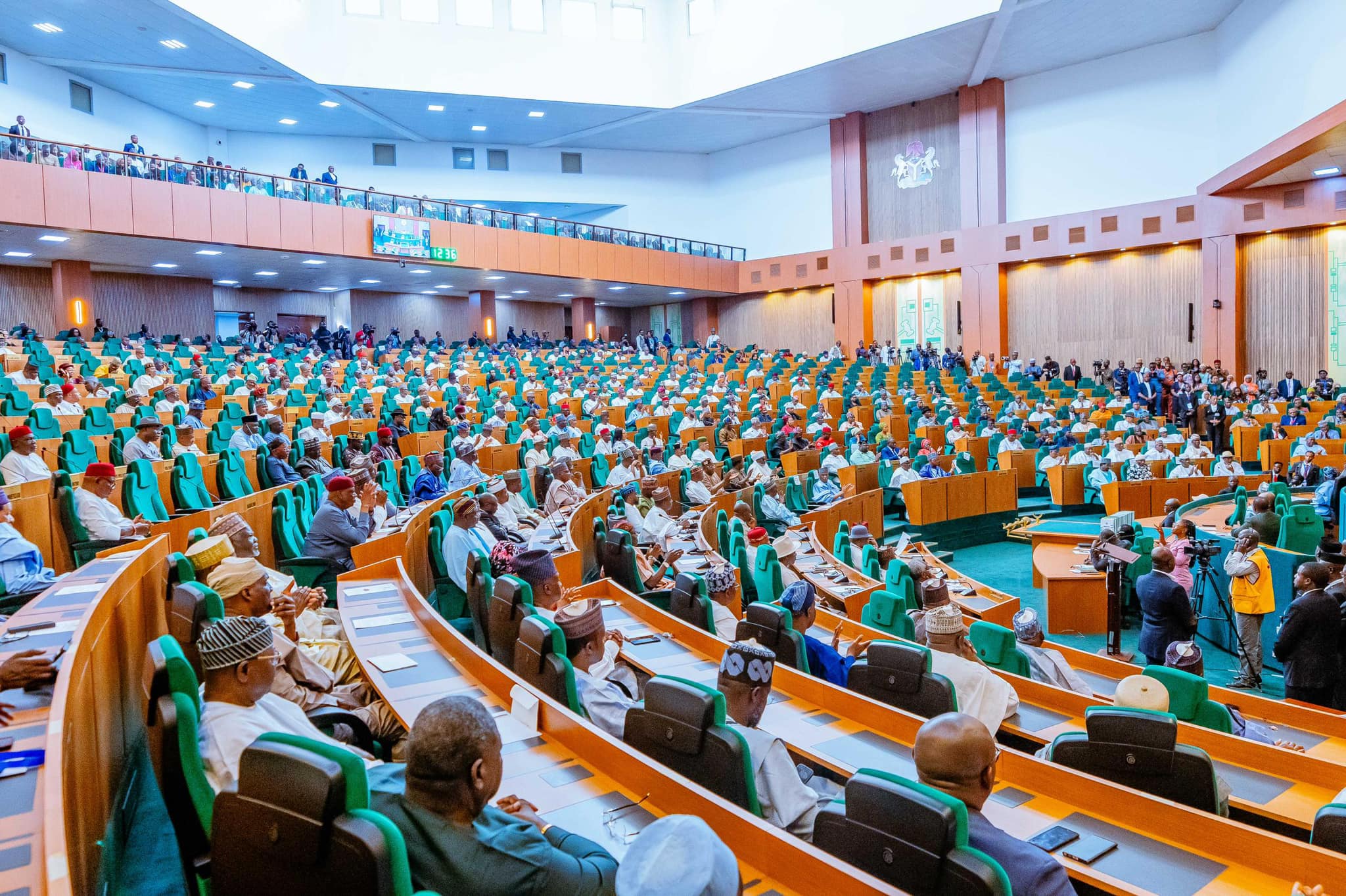 NASS Update: Minority Leader Resigns, Leadership Battle, NILDS DG Under Scrutiny, and Security Issues
