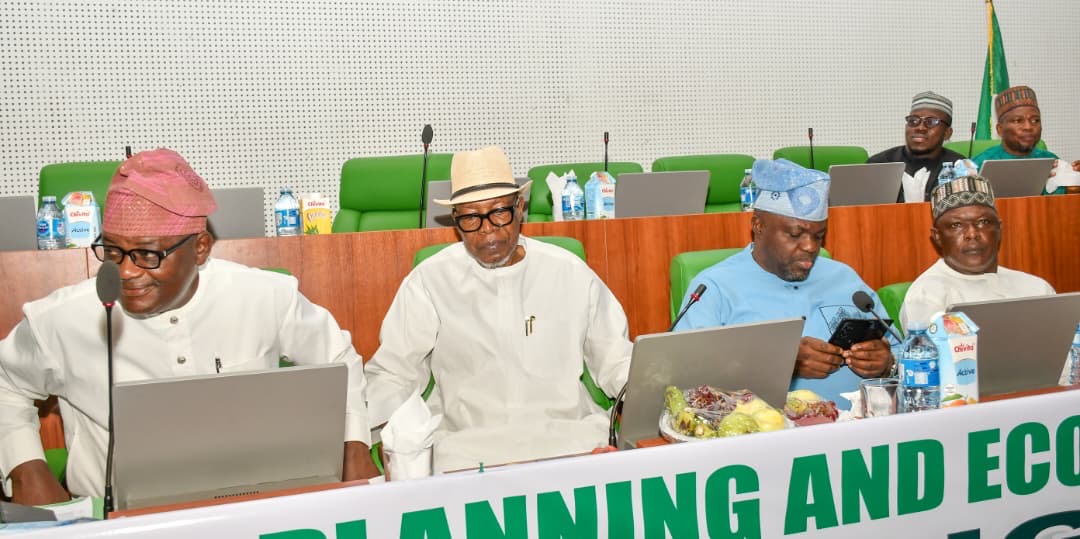 Nigeria needs better data system for $1 trillion economy - Speaker Tajudeen