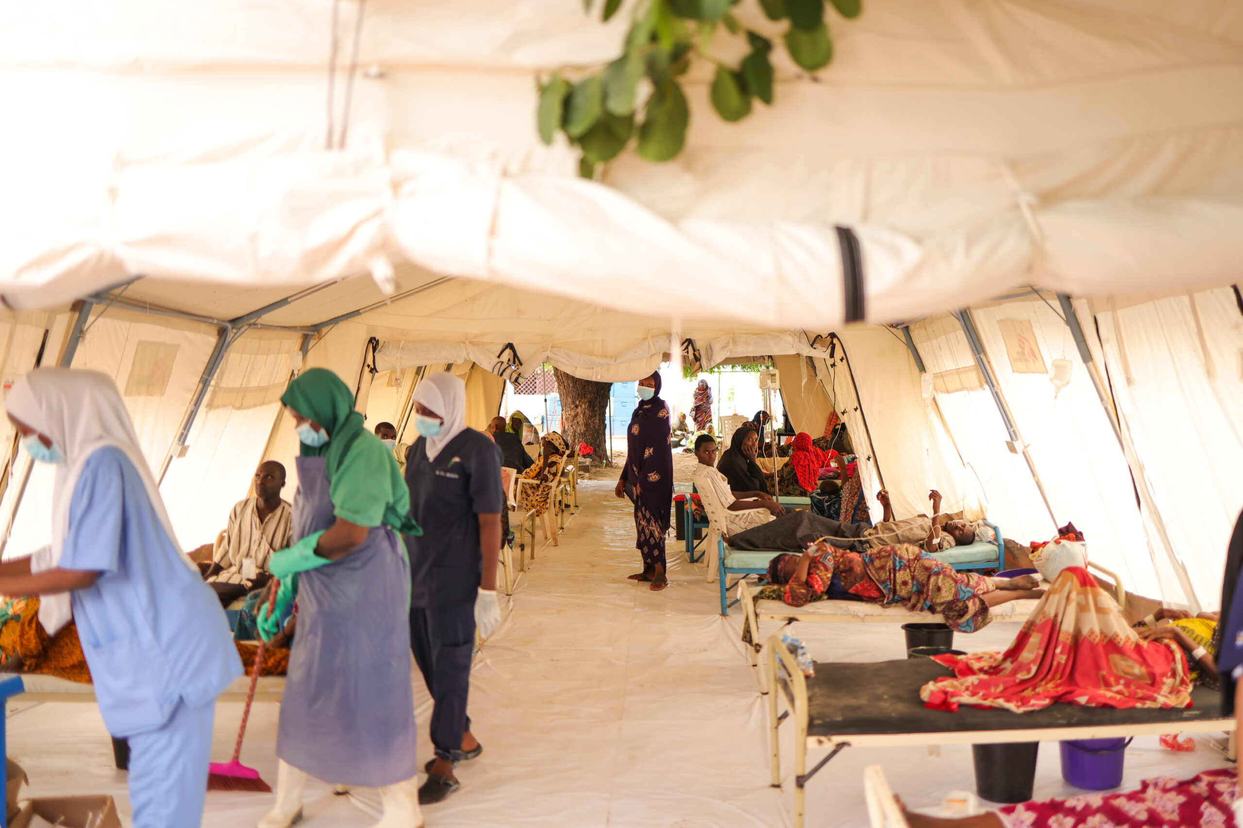 Cholera Outbreak in Borno: 74 Lives Lost, Over 7,800 Infected