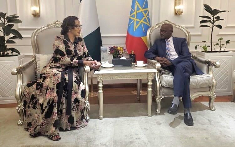 Nigerian Government Signs Deal to Transfer Prisoners from Ethiopia
