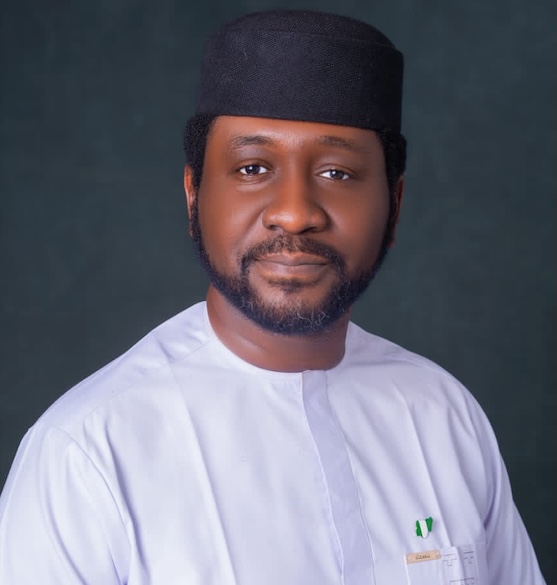 Nigeria's Choice: Moving from Oil to Renewable Energy