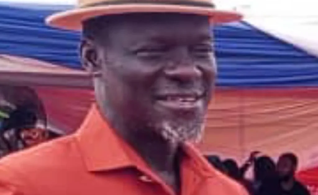 Activist sues NDC for N5 billion over primary election issue