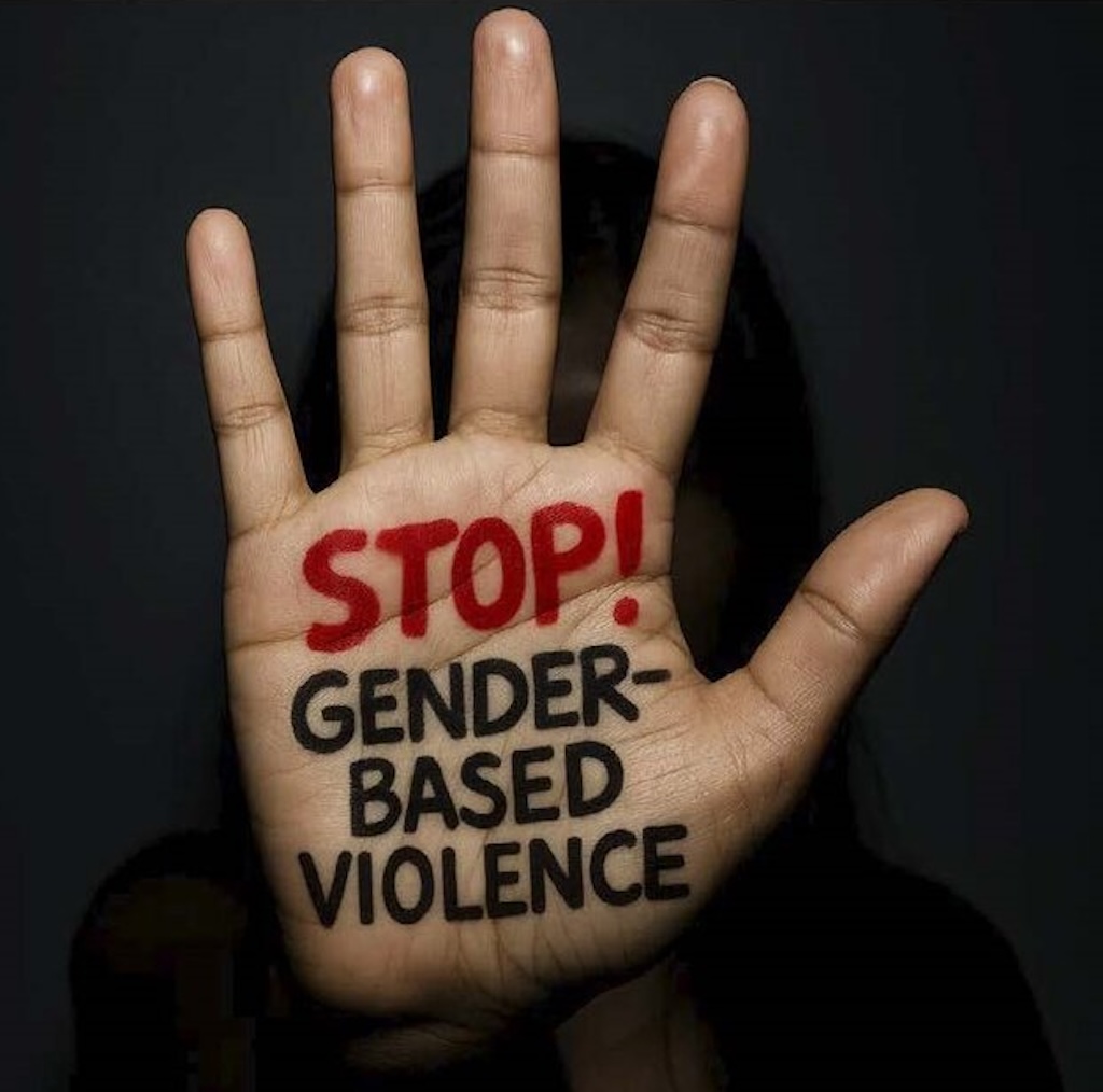 FG to create safe spaces for GBV survivors in all LGAs