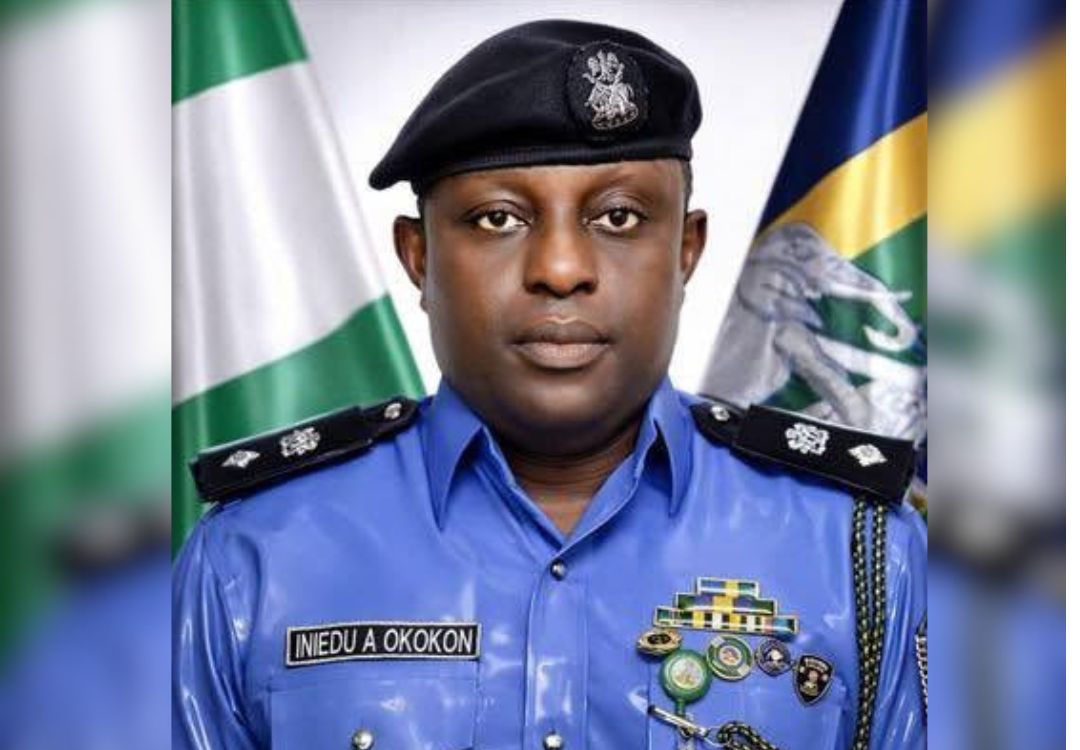 Nigeria Police Force appoints new spokesperson