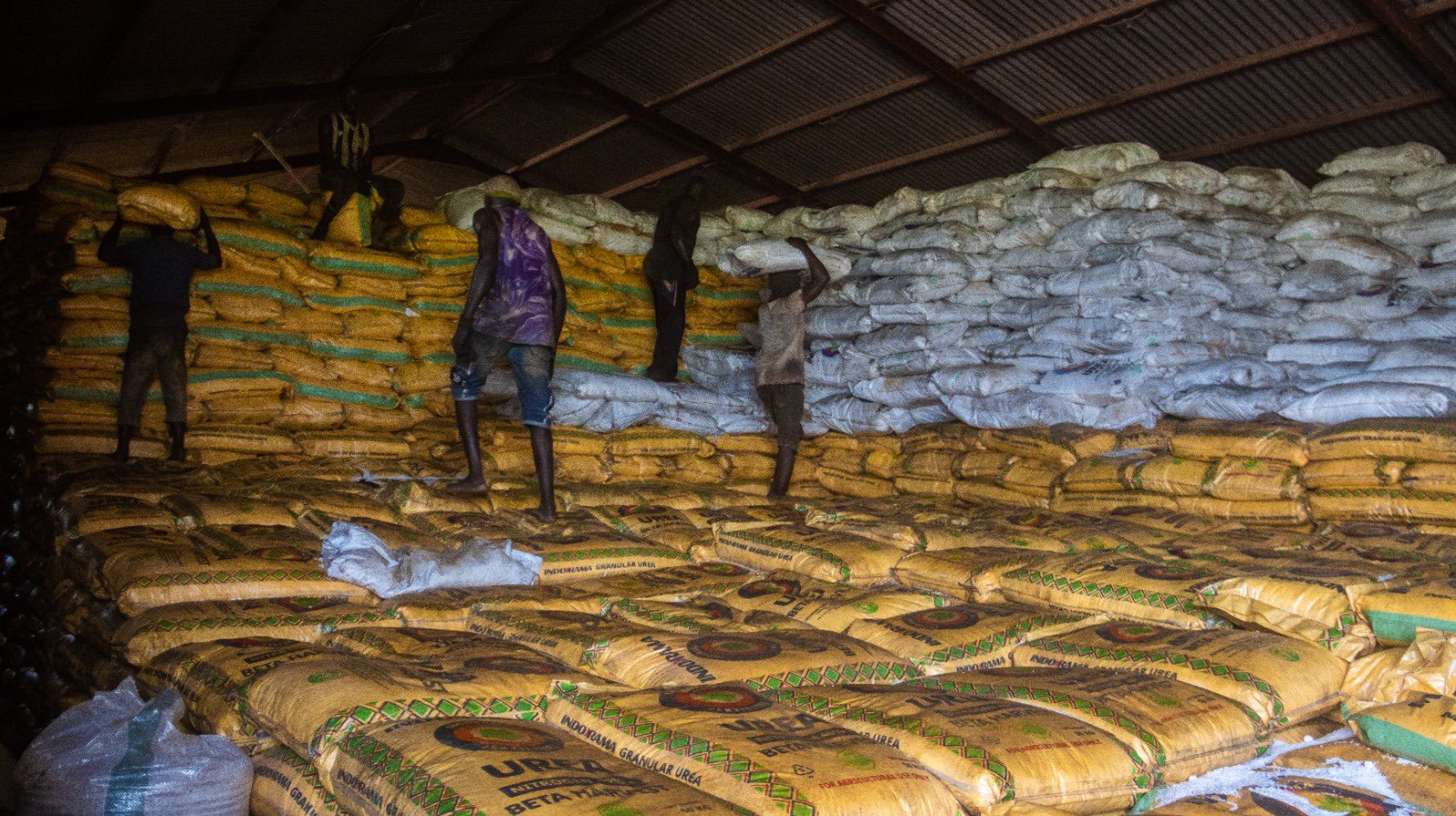 Nigeria Secures Fertiliser Supplies Amid Global Tensions