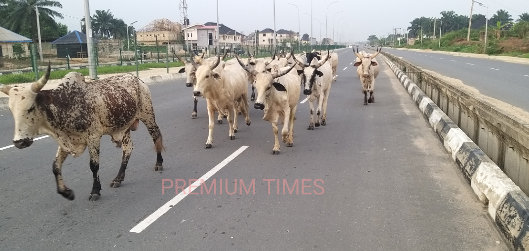 Magistrate Kicks Journalists and Complainant Out of Court in Herder Case