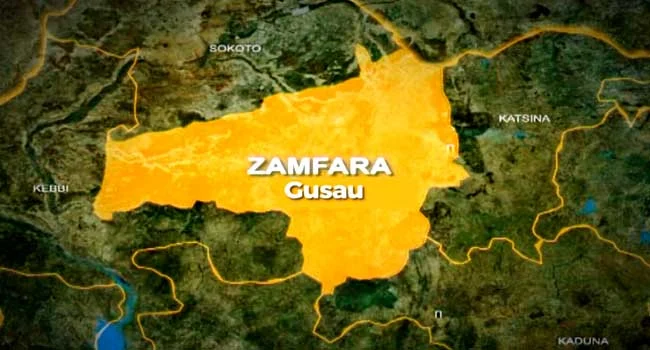 Police and Soldiers Seize 329 Cattle, 175 Sheep, and AK-47 in Zamfara