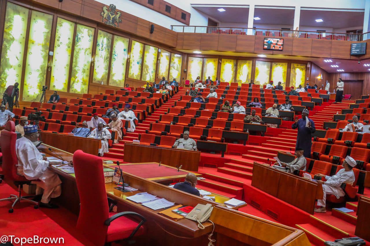 Senate Approves State Police Bill, Allows Governors to Appoint Police Chiefs