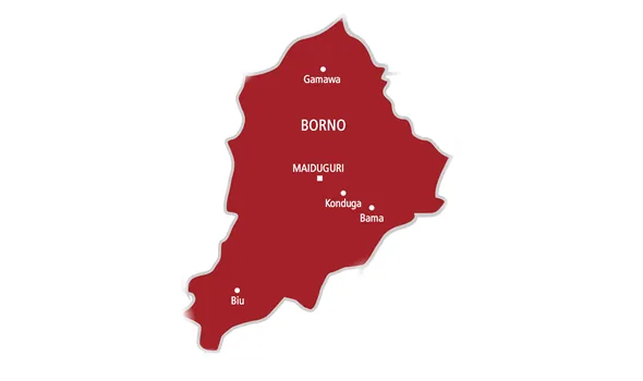 Boko Haram kidnaps students during NECO exams in Borno